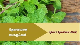Belly Fat Diet in Tamil - Juice Recipes Food for Reduce Belly Fat