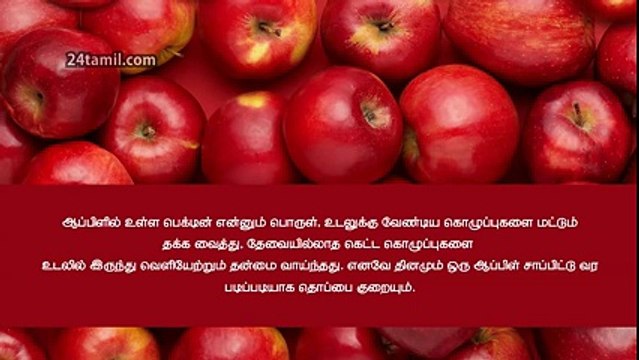 How to reduce Belly fat - Best Food for Belly Fat Loss in Tamil