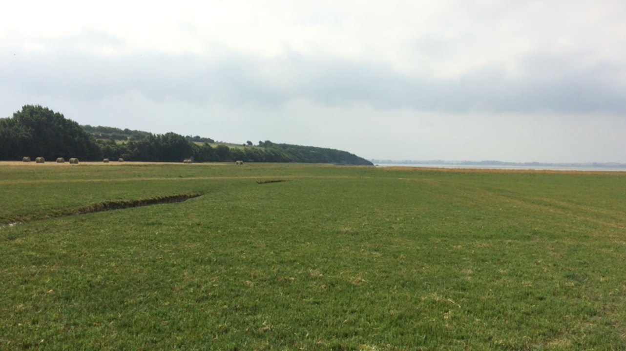 Visite des prés salés