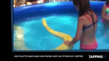 Une jeune fille nage dans une piscine avec un python de 5 mètres (Vidéo)