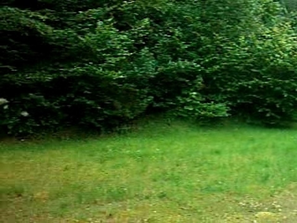 " BUFFY DANS LES VOSGES "