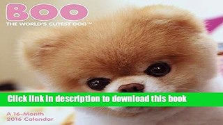 Read Boo The World s Cutest Dog 2016 Calendar  Ebook Free