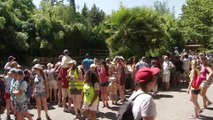 Le zoo d'Amnéville parade pour ses 30 ans