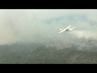 Bantuan Asing Usai, Indonesia Masih Butuh Bantuan Atasi Kebakaran Lahan?