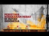 Peristiwa Kebakaran Hebat di Hutan Indonesia