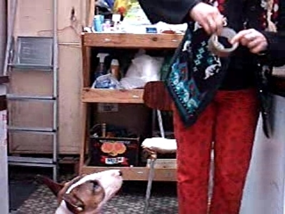 NINO ET BUFFY 3