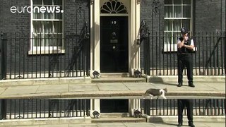 Post-Brexit stability at last as Larry the Cat remains at Number 10