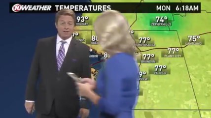 News Anchor Accidentally Interrupts A Weather Forecast While Playing "Pokemon GO"