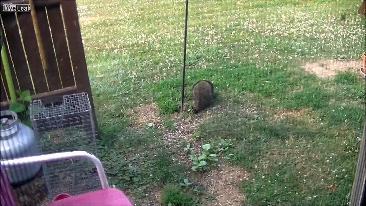 Dumb ass fights with Oakland Fire Dept.