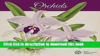 Read Orchids 2016 Wall Calendar  PDF Online