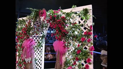 Dawn Marie & Al Wilson Wedding SmackDown 01.02.2003 (HD)