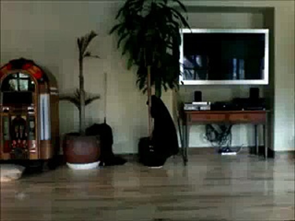 Best 09 Seconds Of Life Must Watch This Video