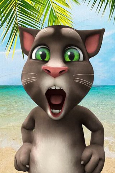 pusy cat