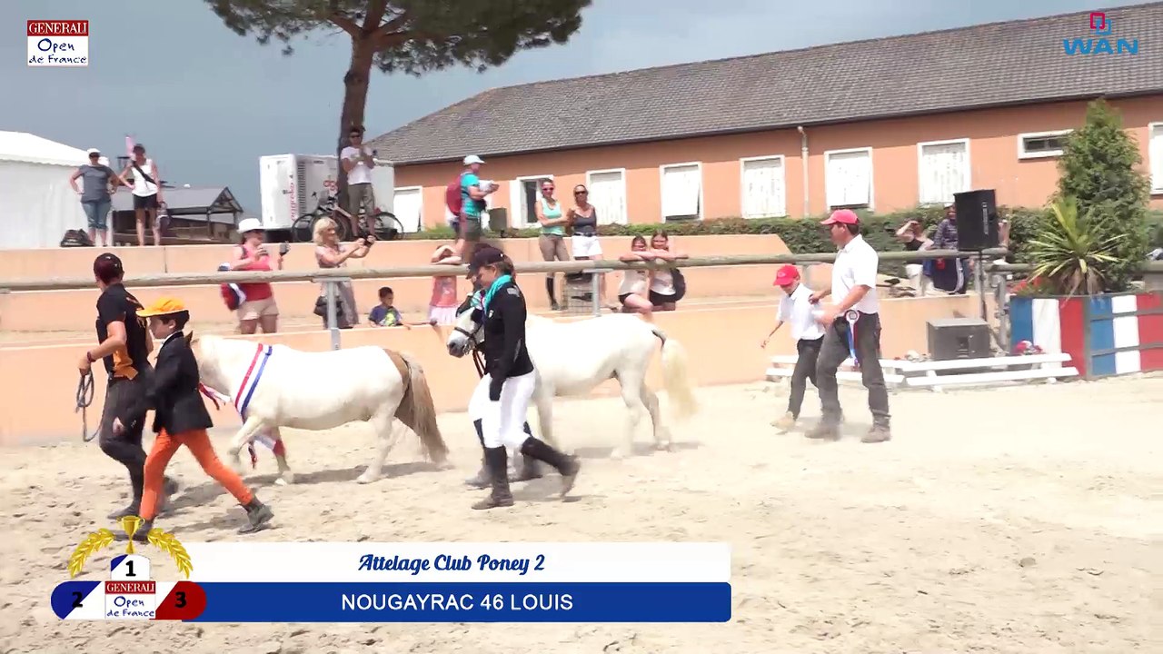 Attelage Club Poney 2