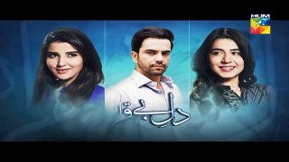 Dil E Beqarar Episode 15 Promo HD HUM TV Drama 20 July 2016