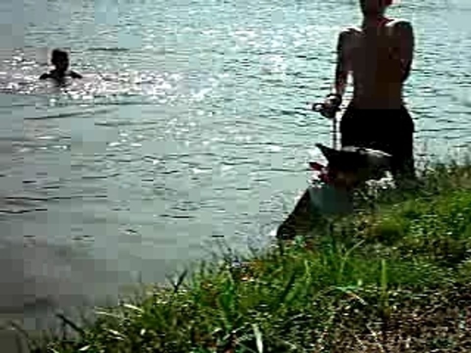 LES BUBULLS AU PLAN D'EAU DE WALSCHEID 1