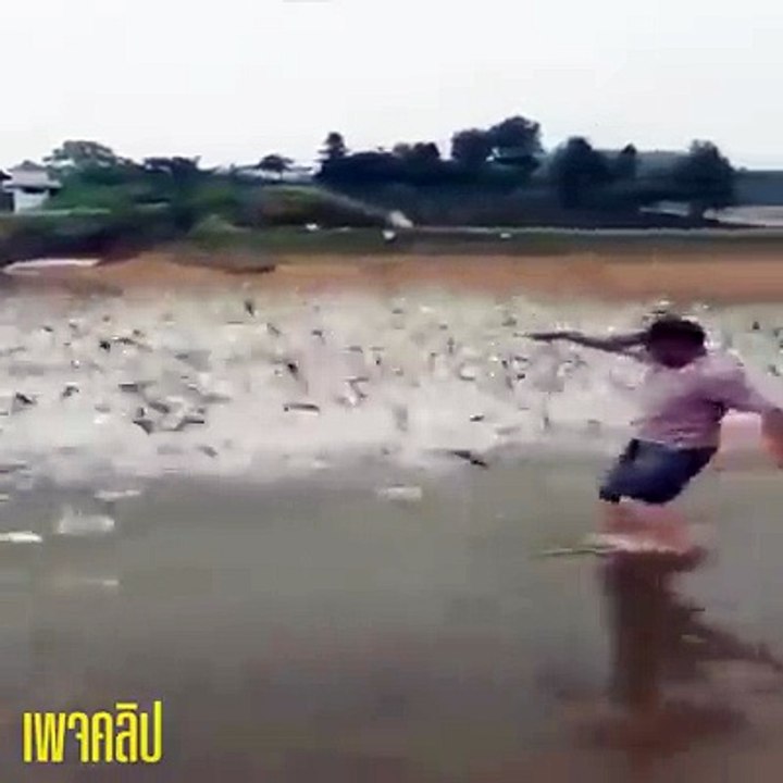 Fishes