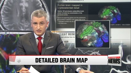 Scientists identify 97 new areas of cerebral cortex