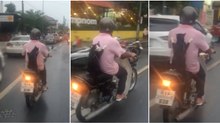 Gato a passear descontraído com o seu dono em viagem de scooter faz sucesso na Internet