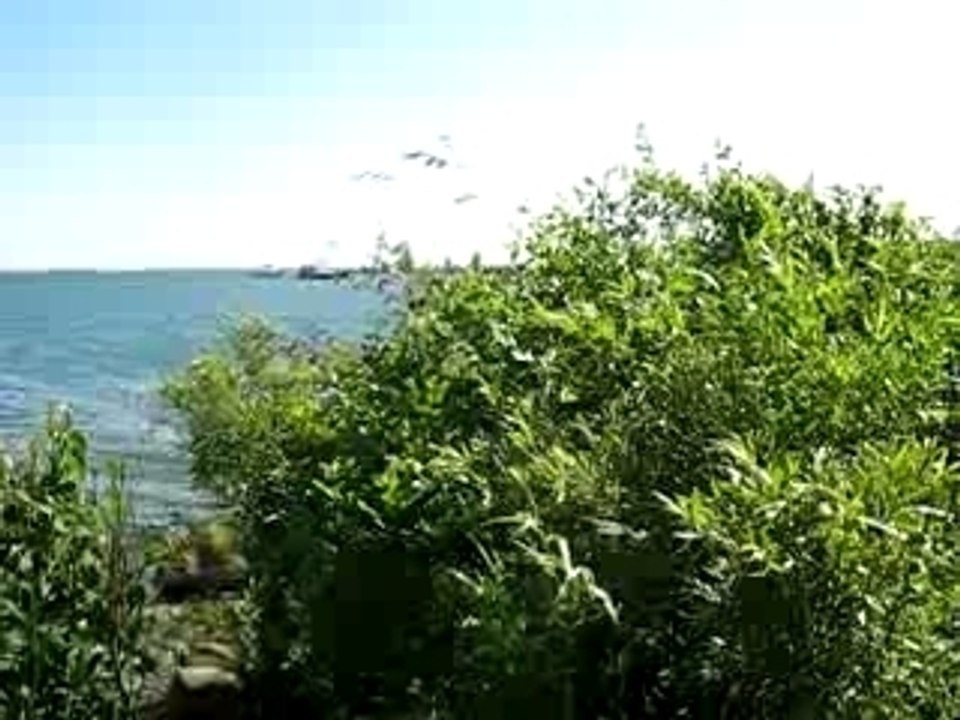 torontopano