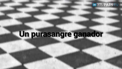 10 Un pura sangre ganador -Weiss vs Martinez