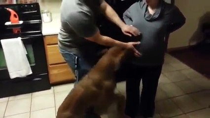 Вот это .... всем охранникам охранник!