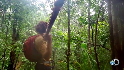 Conquering Fear in the Jungle Canopy | American Tarzan