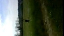 MOV00133