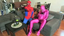 Spiderman and friends Pregnant spidergirl! Spiderman against Darth Vader! Funny superheroes in real life!