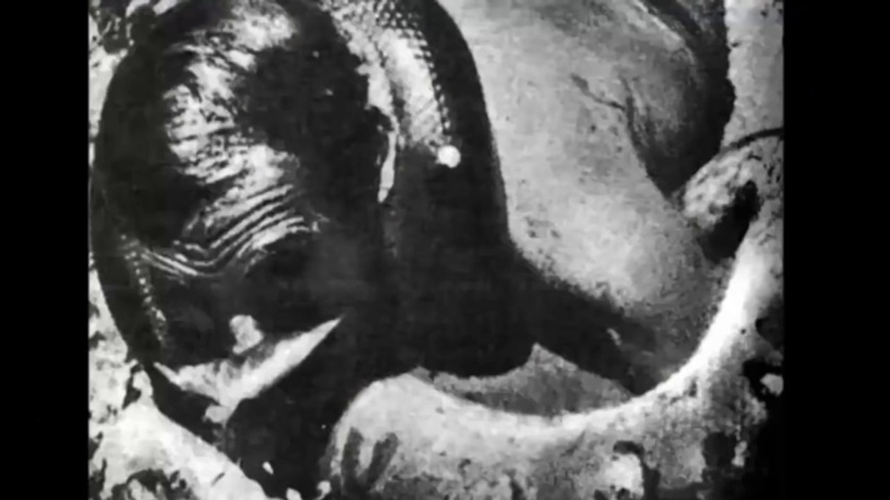 Giant Anaconda   World s biggest python snake found in Amazon river - Largest snake longest python_HD