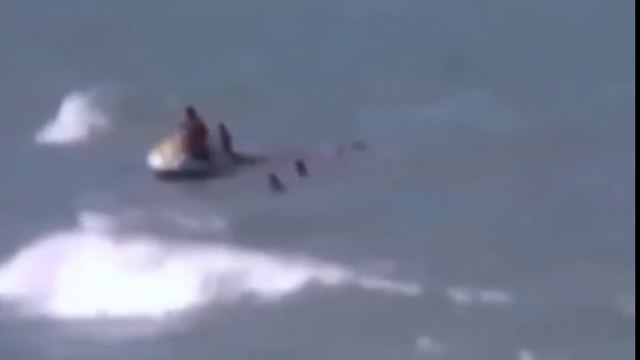 Most amazing wild animal attacks #3 - Biggest python snake Giant anaconda attacks human_HD