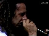 Rage Against The Machine - Killing In The Name live