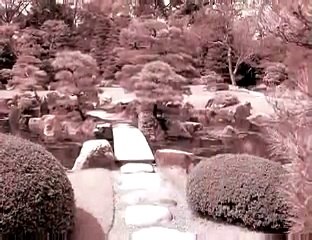 梅本哲信　篠笛-癒し-Deva-Yoko（デヴァ・ヨーコ）：調和_WsmmggQn+HA_youtube.com