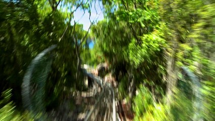 梶原吉広おすすめ「自然を走るジェットコースターの動画」