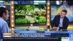 Miniature DailyMotion