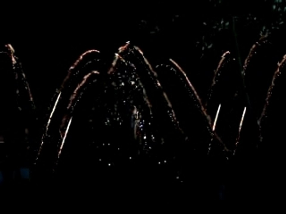 Feu d'artifice disney partie 2