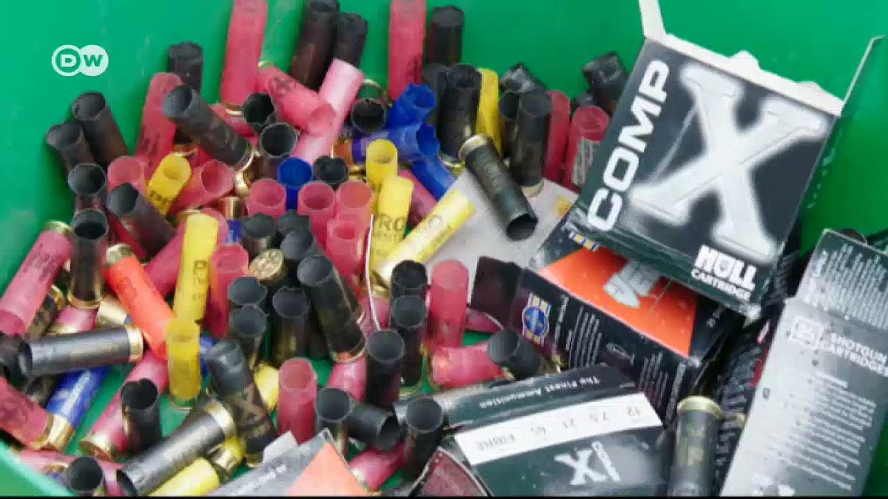 Bitte einsteigen! - der royal scotsman | euromaxx