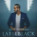 Label Black Gupz Sehra Official Full Video Latest Punjabi Song 2016