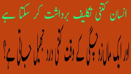 Aik Maan Zochgi Kay Waqit Kitna Darad Jheel Jati Hai | ماں زوچگی کے وقت کتنا درد برداشت کرتی ہے