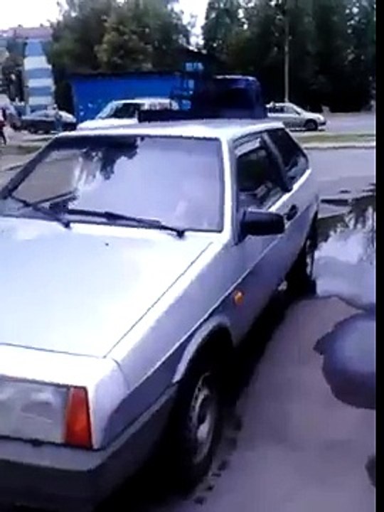 Собака автомобиляка