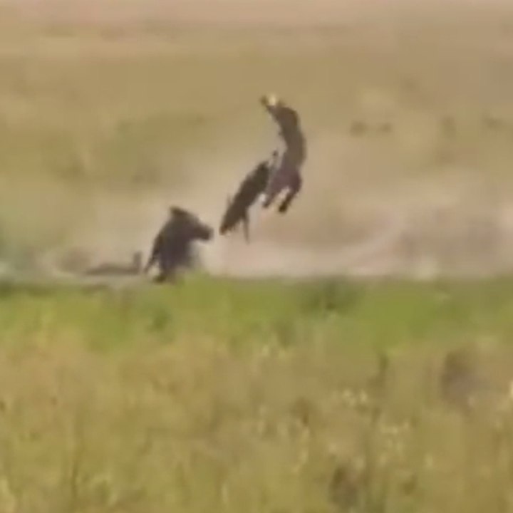 Uma cena da Disney na vida real!