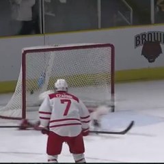 Increíble parada de hockey sobre hielo