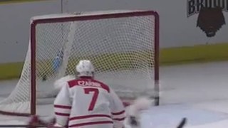Incroyable sauvetage en hockey sur glace