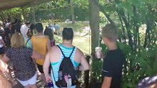 Images impressionnantes : victime d'une crise cardiaque, un alligator reçoit les gestes de premiers secours