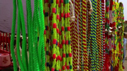 Nizam Bijli - Switch Life On