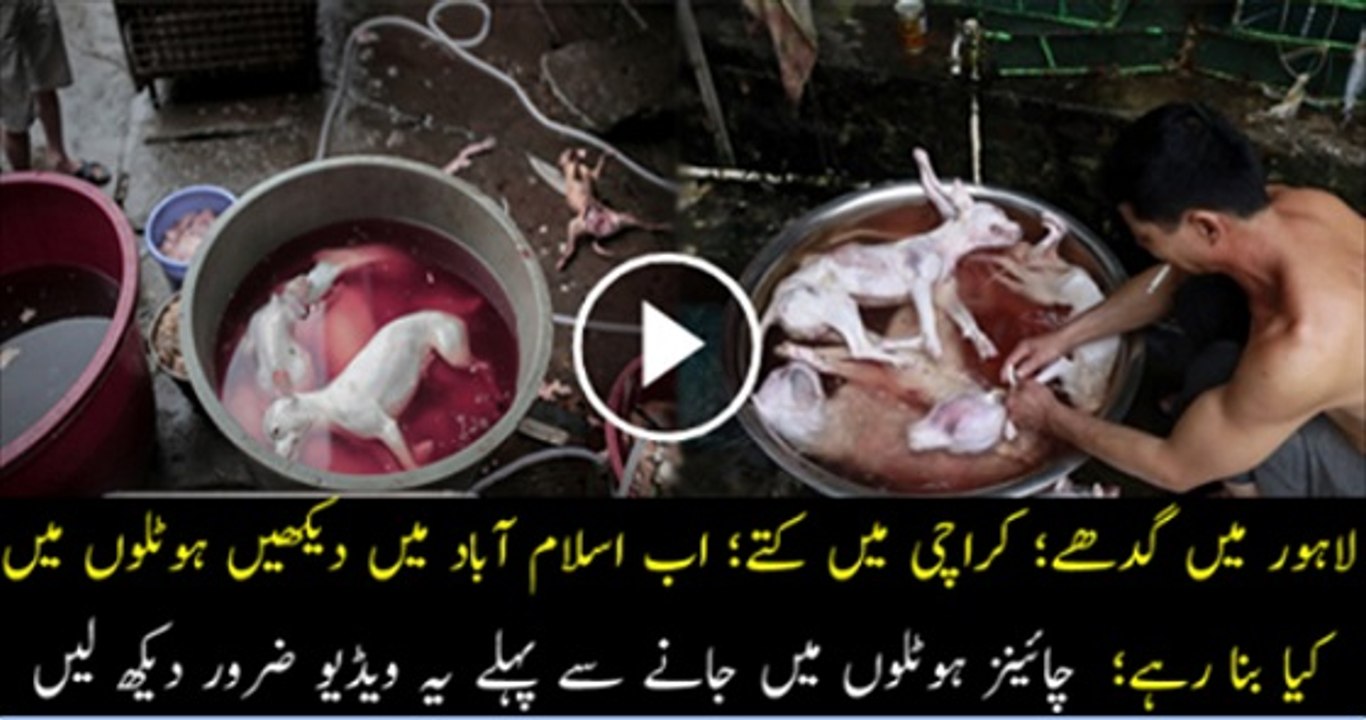 Dead chicken being sold in hotels