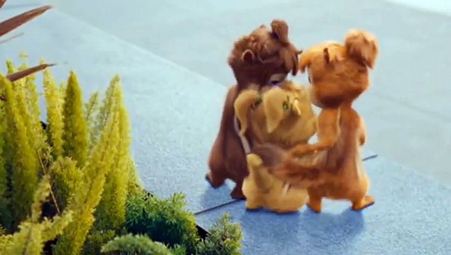 Happy birthday lee lee