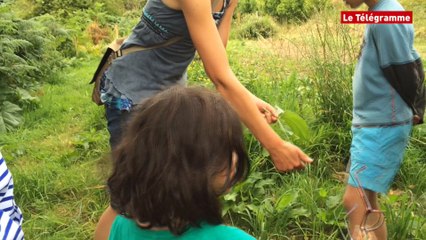Ploubazlanec (22). Les sens s'éveillent à la réserve Lapicque
