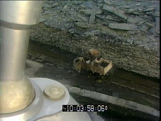 The Tripods Cast on Blue Peter 17/9/84