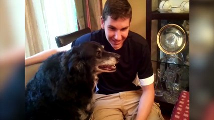 23 Strange Things That Animals Do